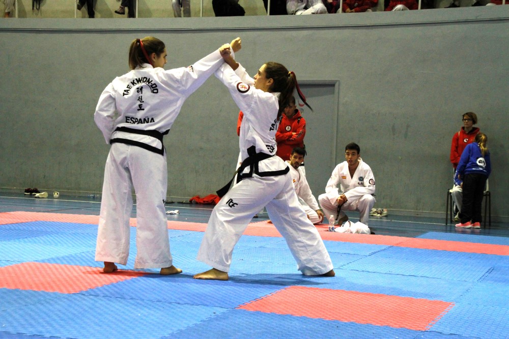 III Copa Seúl (211).jpg